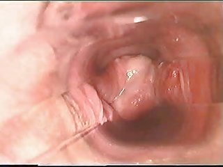 Большая сука раздевается